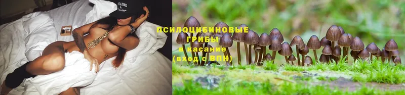 даркнет сайт  Десногорск  Галлюциногенные грибы MAGIC MUSHROOMS 